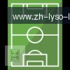 乐鱼体育 logo